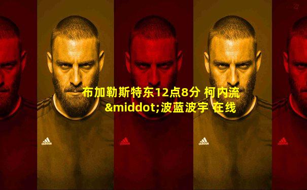布加勒斯特东12点8分 柯内流·波蓝波宇 在线看